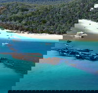 All Inclusive Tangalooma Wrecks Cruise Tour From Gold Coast - Great Ocean Road Tourism