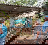 Bombing of Darwin World War II Tour with Harbour Cruise - Great Ocean Road Tourism