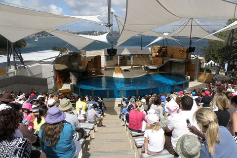 Sydney Taronga Zoo General Entry Ticket - Great Ocean Road Tourism 5