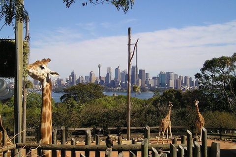 Sydney Taronga Zoo's Australian Animals Tour - Great Ocean Road Tourism 4