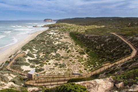 Kangaroo Island Personal Group Tours - Great Ocean Road Tourism 1