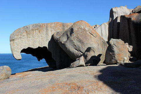 Kangaroo Island Personal Group Tours - Great Ocean Road Tourism 2