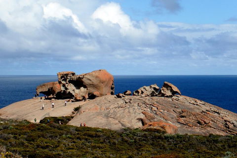 Kangaroo Island Personal Group Tours - Great Ocean Road Tourism 5