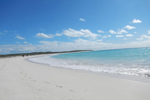 Shipwreck Special Nature Tour/Half Day Tour - Great Ocean Road Tourism 0