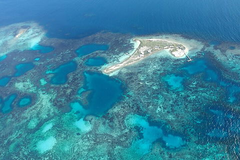 Shipwreck Special Nature Tour/Half Day Tour - Great Ocean Road Tourism 5