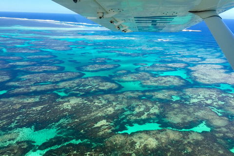 Kalbarri, Pink Lake And Abrolhos Islands Nature Tour - Great Ocean Road Tourism 5