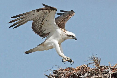 Pink Lake + Abrolhos Islands Nature Tour - Great Ocean Road Tourism 3
