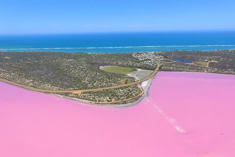 Pink Lake + Abrolhos Islands Nature Tour - Great Ocean Road Tourism 4