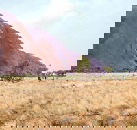 Uluru Sunrise and Guided Base Walk - Great Ocean Road Tourism