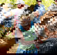 Tiwi Islands Cultural Experience from Darwin Including Ferry - Great Ocean Road Tourism