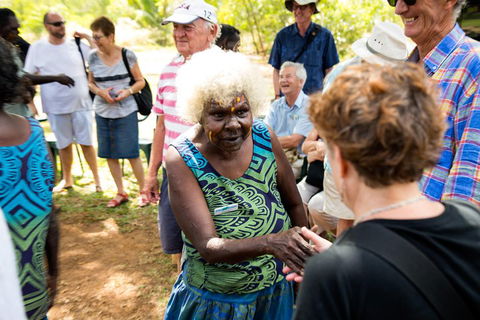 Tiwi Islands Cultural Experience From Darwin Including Ferry - Great Ocean Road Tourism 0