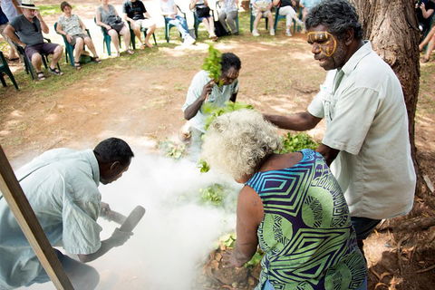 Tiwi Islands Cultural Experience From Darwin Including Ferry - Great Ocean Road Tourism 4