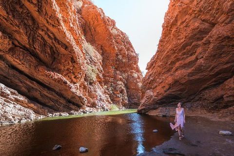 West MacDonnell Ranges- Half Day Trip From Alice Springs - Great Ocean Road Tourism 1