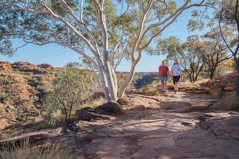 3-Day Tour From Uluru (Ayers Rock) To Alice Springs Via Kings Canyon - Great Ocean Road Tourism 1