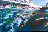 Great Barrier Reef Day Cruise from Cairns Including Snorkeling and Marine Biologist Presentation