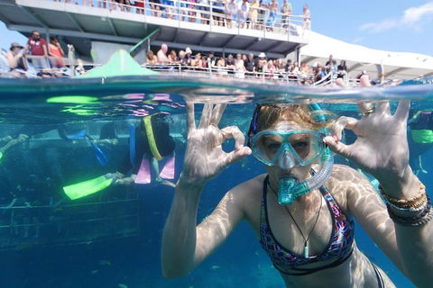 Great Barrier Reef Day Cruise From Cairns Including Snorkeling And Marine Biologist Presentation - Great Ocean Road Tourism 0
