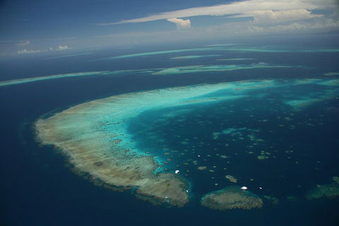 Great Barrier Reef Day Cruise From Cairns Including Snorkeling And Marine Biologist Presentation - Great Ocean Road Tourism 1