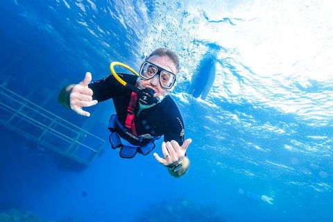 Great Barrier Reef Day Cruise From Cairns Including Snorkeling And Marine Biologist Presentation - Great Ocean Road Tourism 3
