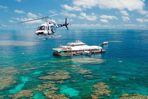 Great Barrier Reef Day Cruise From Cairns Including Snorkeling And Marine Biologist Presentation - Great Ocean Road Tourism 5