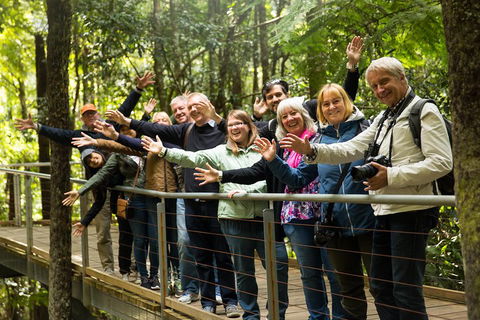 All Inclusive Blue Mountains Small-Group Day Trip From Sydney - Great Ocean Road Tourism 5