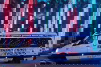 Evening Rainforest  Glow Worm Experience, Surfers Paradise