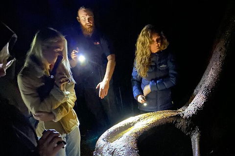 Evening Rainforest & Glow Worm Experience - Great Ocean Road Tourism 2