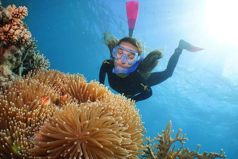 Quicksilver Outer Great Barrier Reef Snorkel Cruise From Palm Cove - Great Ocean Road Tourism 2