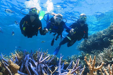 Quicksilver Outer Great Barrier Reef Snorkel Cruise From Palm Cove - Great Ocean Road Tourism 3