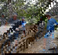 Fully guided E-Mountain Bike Tour on the beautiful Mornington Peninsula. - Great Ocean Road Tourism