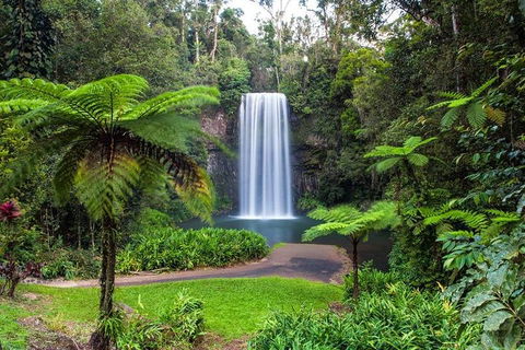 Cairns & Port Douglas All-Inclusive 7 Days Touring Package - Great Ocean Road Tourism 2