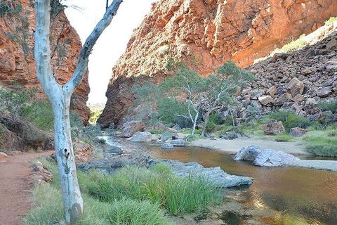 Alice Springs, Uluru Ayers Rock & Kings Canyon 8 Days Touring Package - Great Ocean Road Tourism 2