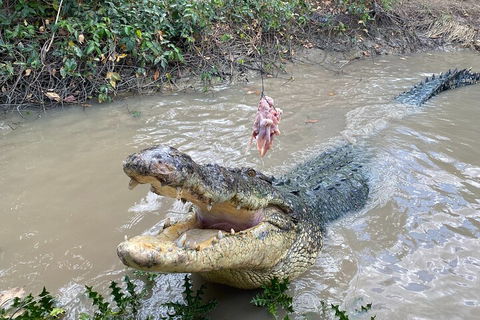 Top End Waterfalls And Wetlands - Great Ocean Road Tourism 0