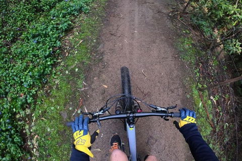 Explore Downhill Mountain In 3-Hour Bike Tour From Hobart - Great Ocean Road Tourism 2