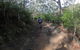 Explore Downhill Mountain In 3-Hour Bike Tour From Hobart - thumb 3