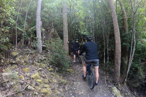 Explore Downhill Mountain In 3-Hour Bike Tour From Hobart - Great Ocean Road Tourism 4
