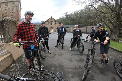 Explore Downhill Mountain In 3-Hour Bike Tour From Hobart - Great Ocean Road Tourism 5