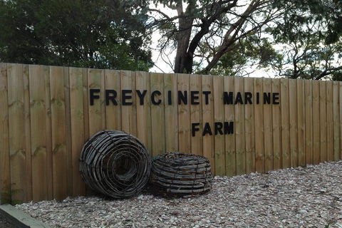 Active Day Tour One-Way From Launceston To Hobart Via Wineglass Bay - Great Ocean Road Tourism 3