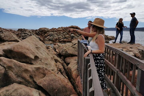 Margaret River Impression Day Tour From Perth - Great Ocean Road Tourism 4