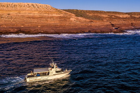 Kalbarri Sunset Coastal Cliff Cruise - Great Ocean Road Tourism 4