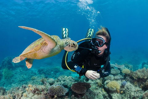 Silverswift Outer Great Barrier Reef Dive And Snorkel Cruise From Cairns - Great Ocean Road Tourism 2