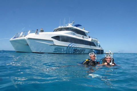 Silverswift Outer Great Barrier Reef Dive And Snorkel Cruise From Cairns - Great Ocean Road Tourism 4
