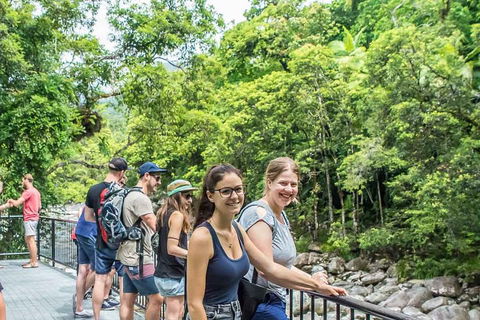 Cape Tribulation, Mossman Gorge, And Daintree Rainforest Day Trip From Cairns Or Port Douglas - Great Ocean Road Tourism 0