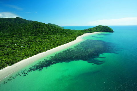 Cape Tribulation, Mossman Gorge, And Daintree Rainforest Day Trip From Cairns Or Port Douglas - Great Ocean Road Tourism 2