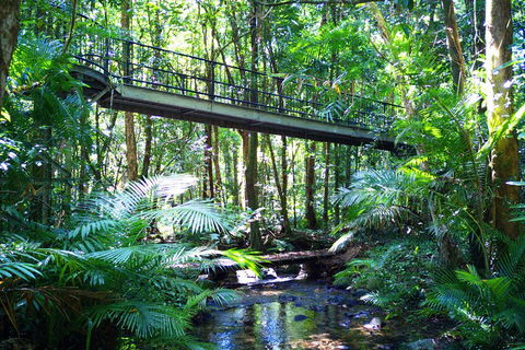 Cape Tribulation, Mossman Gorge, And Daintree Rainforest Day Trip From Cairns Or Port Douglas - Great Ocean Road Tourism 3