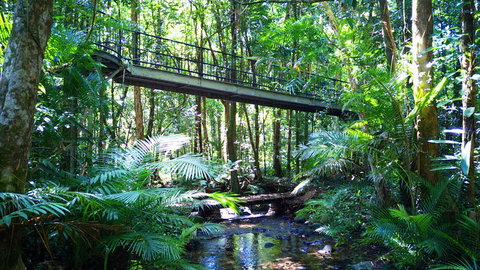 Double Pack-Ancient Rainforest And Waterfalls! - Great Ocean Road Tourism 0