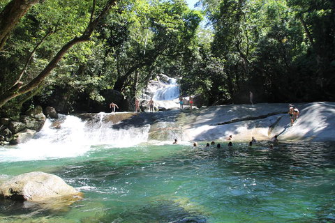 Double Pack-Ancient Rainforest And Waterfalls! - Great Ocean Road Tourism 2
