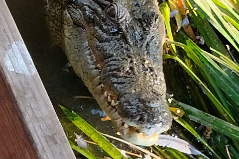 Litchfield Park Adventures And Jumping Crocodile Cruise + Butterfly Farm - Great Ocean Road Tourism 1