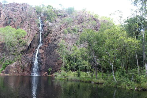 Jumping Crocodile Cruise And Berry Springs Nature Park - Great Ocean Road Tourism 5