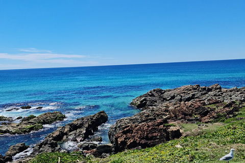 Private Custom Byron Bay Day Out - Great Ocean Road Tourism 4