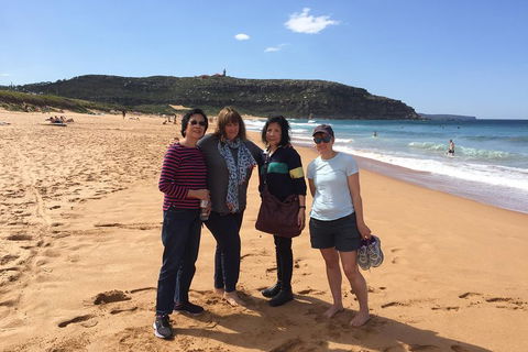 Small-Group Sydney's Northern Beaches And Ku-ring-gai National Park Bus Tour - Great Ocean Road Tourism 2